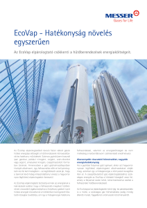 https://www.messer.hu/documents/3263100/3857632/EcoVap+-+Hat%C3%A9konys%C3%A1g+n%C3%B6vel%C3%A9s+egyszer%C5%B1en.pdf/e3ba4711-29ed-33c4-6f35-728477382bb5?version=1.0&t=1723809163993&documentThumbnail=1