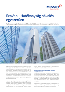 https://www.messer.hu/documents/3263100/3857632/EcoVap+-+hat%C3%A9konys%C3%A1g+n%C3%B6vel%C3%A9s+egyszer%C5%B1en.pdf/12553845-b7a3-5383-09e7-a6a348b154b5?version=1.0&t=1756733673357&documentThumbnail=1